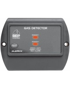 BEP 600-GD detector